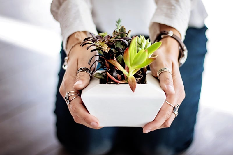 Self-Watering Planters